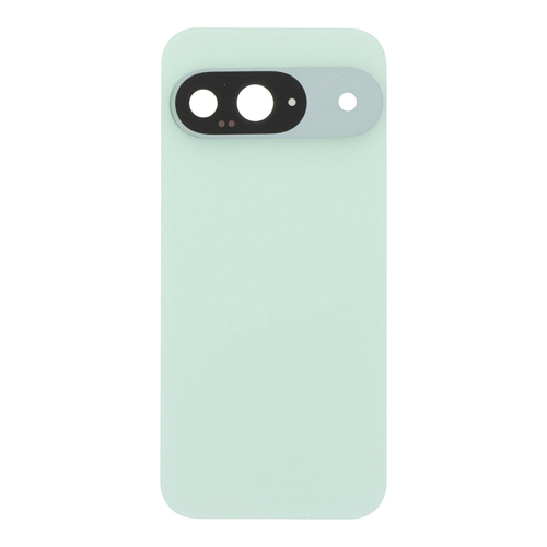 Back Cover with Camera Lens Compatible for Google Pixel 9 - Wintergreen