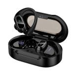 Hoco Comfortable Ear Hook Headset with Charging Case EQ29 - Black