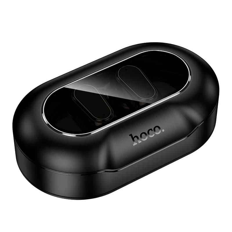 Hoco Comfortable Ear Hook Headset with Charging Case EQ29 - Black