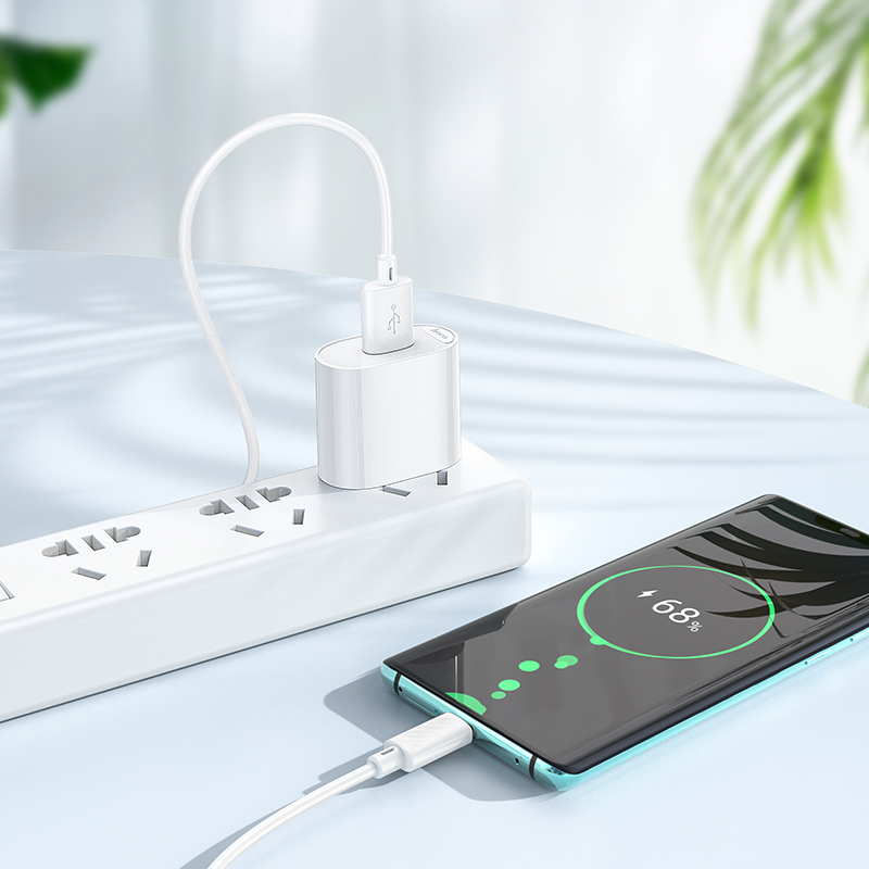 Hoco Single-Port Charger with USB to USB-C Cable Set C109 - White