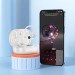 Hoco Sportive Wireless Headset with Charging Case EQ8 - Black