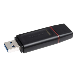 Kingston DataTraveler Exodia, 256GB USB 3.2 Flash Drive (OEM)
