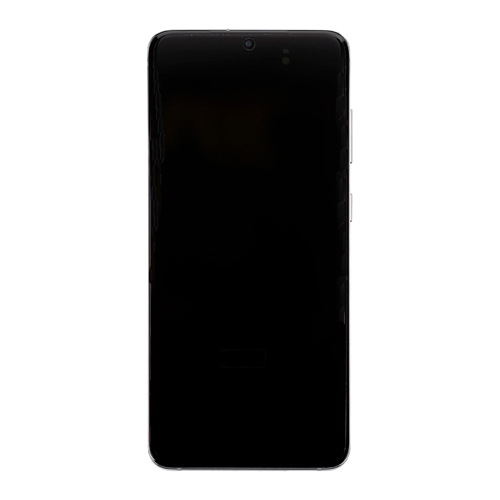 Service Pack - Battery and OLED Assembly With Frame Compatible for Samsung Galaxy S20 5G - Cosmic Grey