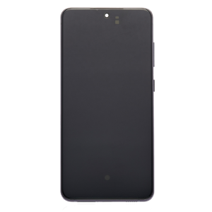 Service Pack - Battery and OLED Assembly With Frame Compatible for Samsung Galaxy S21 FE 5G (US Version) - Graphite