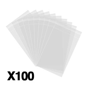 Packaging Poly Bags (Pack of 100)