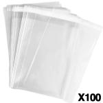 Packaging Poly Bags (Pack of 100)